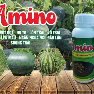 Amino rau màu