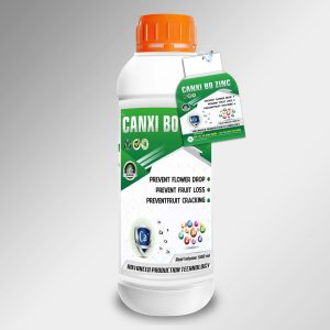 CANXI BO - KẼM