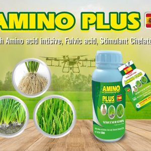 Amino lúa