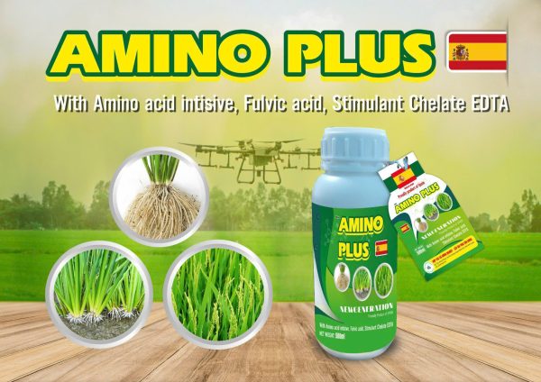 Amino lúa