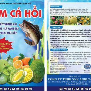 Đạm cá hồi
